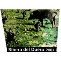 BLACK PIG RIBERA DEL DUERO
